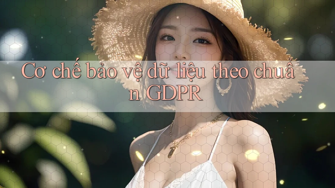 Cơ chế bảo vệ dữ liệu theo chuẩn GDPR Cơ chế bảo vệ dữ liệu theo chuẩn GDPR