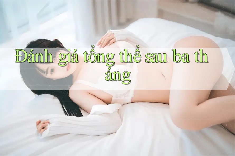 Đánh giá tổng thể sau ba tháng