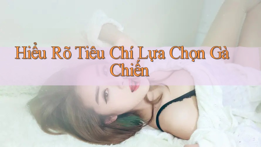 Hiểu Rõ Tiêu Chí Lựa Chọn Gà Chiến