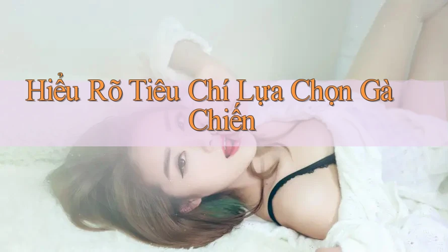 Hiểu Rõ Tiêu Chí Lựa Chọn Gà Chiến
