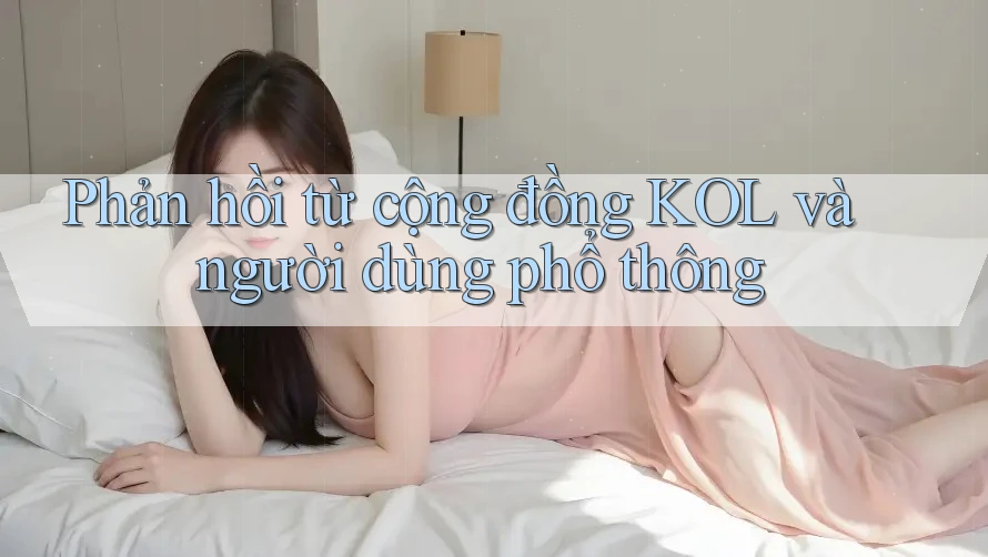 Phản hồi từ cộng đồng KOL và người dùng phổ thông