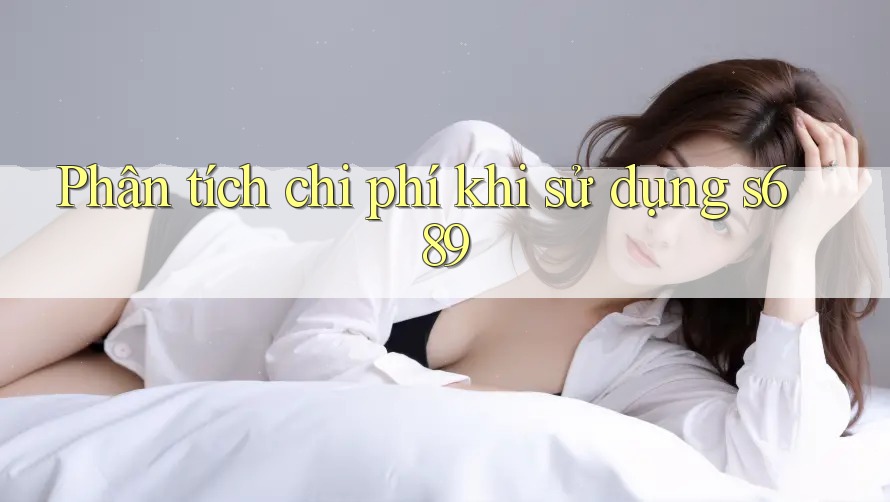 Phân tích chi phí khi sử dụng s689 Phân tích chi phí khi sử dụng s689