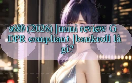 s689 (2026) mini review GDPR compliant bankroll là gì