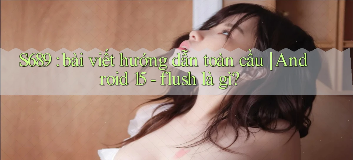 S689 bài viết hướng dẫn toàn cầu Android 15   flush là gì