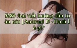 S689 bài viết hướng dẫn toàn cầu Android 15   flush là gì
