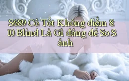 S689 có tốt không điểm 810 blind là gì đáng để so sánh
