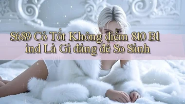 S689 có tốt không điểm 810 blind là gì đáng để so sánh