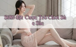 s689  đặt cược trò chơi súc sắc