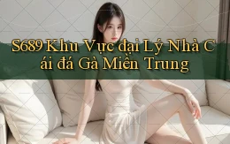 s689  khu vực đại lý nhà cái đá gà miền trung