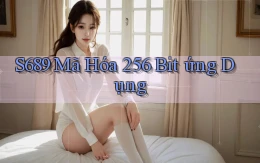s689  mã hóa 256 bit ứng dụng